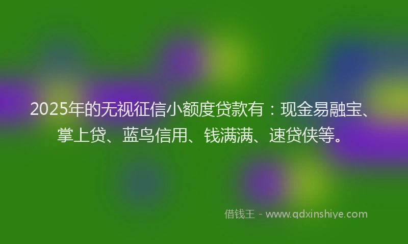 2025年的无视征信小额度贷款有：现金易融宝、掌上贷、蓝鸟信用、钱满满、速贷侠等。