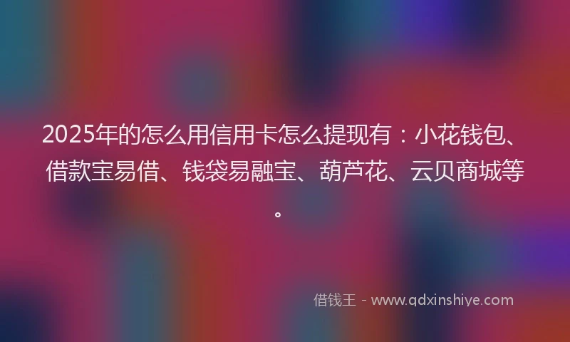 2025年的怎么用信用卡怎么提现有：小花钱包、借款宝易借、钱袋易融宝、葫芦花、云贝商城等。