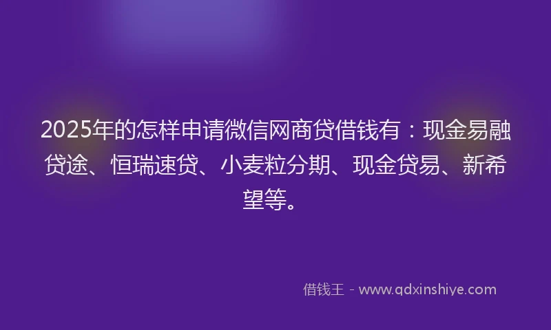 2025年的怎样申请微信网商贷借钱有：现金易融贷途、恒瑞速贷、小麦粒分期、现金贷易、新希望等。