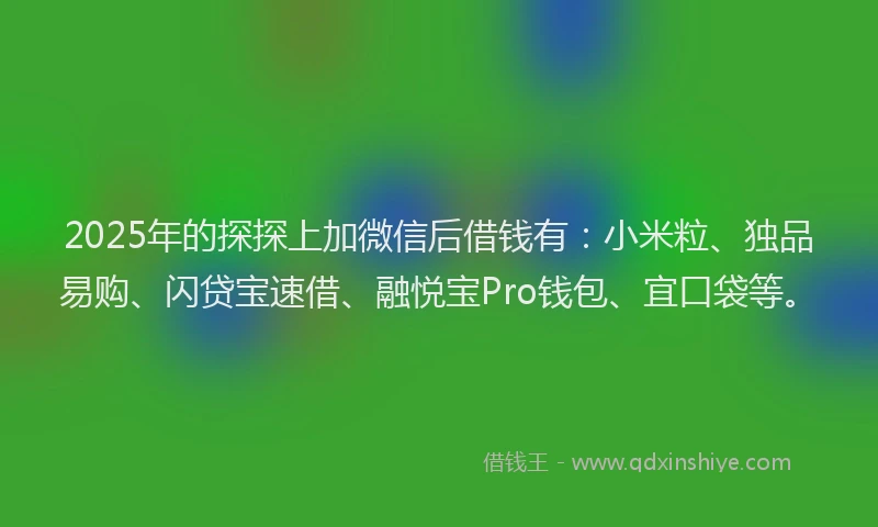 2025年的探探上加微信后借钱有：小米粒、独品易购、闪贷宝速借、融悦宝Pro钱包、宜口袋等。