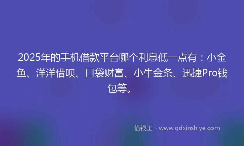 2025年的手机借款平台哪个利息低一点有：小金鱼、洋洋借呗、口袋财富、小牛金条、迅捷Pro钱包等。
