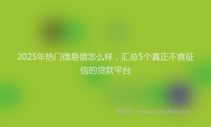 2025年热门微易借怎么样，汇总5个真正不查征信的贷款平台