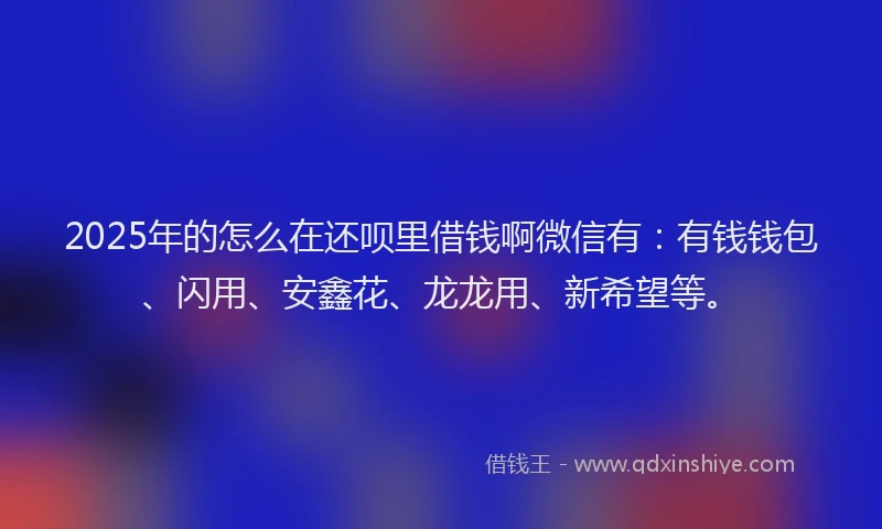 2025年的怎么在还呗里借钱啊微信有：有钱钱包、闪用、安鑫花、龙龙用、新希望等。