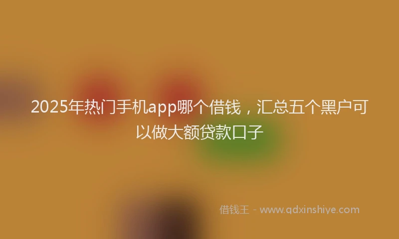2025年热门手机app哪个借钱，汇总五个黑户可以做大额贷款口子