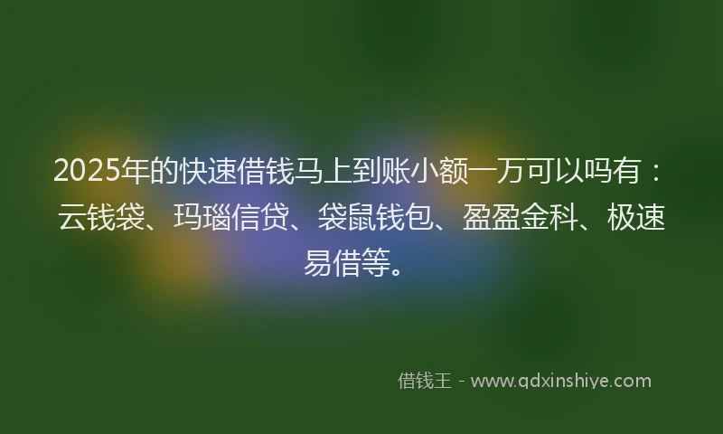 2025年的快速借钱马上到账小额一万可以吗有：云钱袋、玛瑙信贷、袋鼠钱包、盈盈金科、极速易借等。