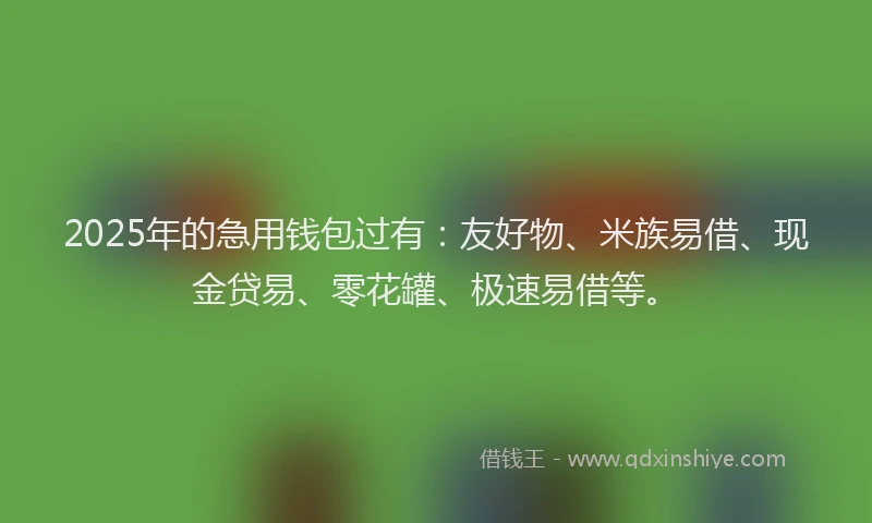 2025年的急用钱包过有：友好物、米族易借、现金贷易、零花罐、极速易借等。