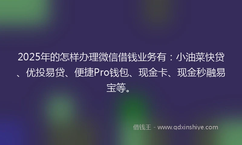 2025年的怎样办理微信借钱业务有：小油菜快贷、优投易贷、便捷Pro钱包、现金卡、现金秒融易宝等。