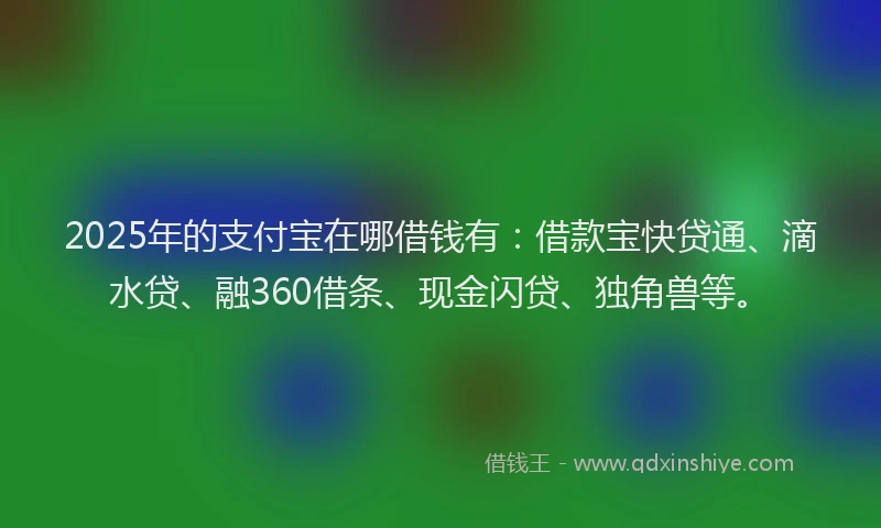 2025年的支付宝在哪借钱有：借款宝快贷通、滴水贷、融360借条、现金闪贷、独角兽等。