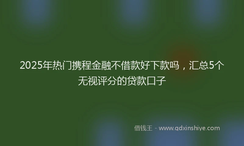 2025年热门携程金融不借款好下款吗，汇总5个无视评分的贷款口子