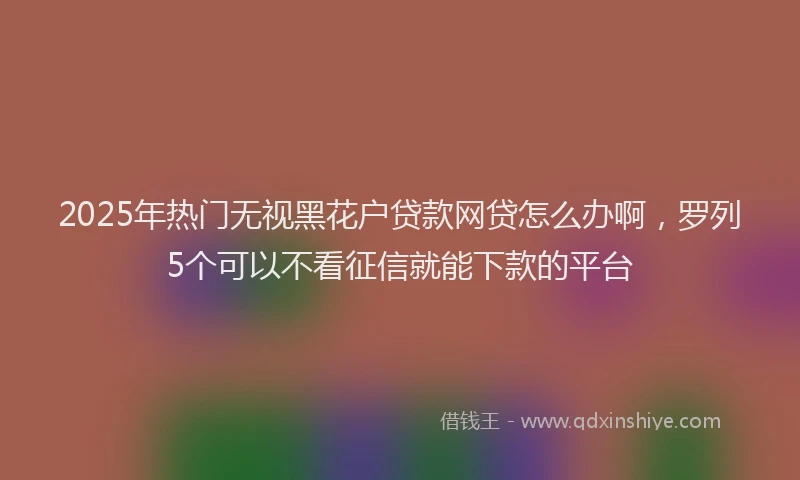 2025年热门无视黑花户贷款网贷怎么办啊，罗列5个可以不看征信就能下款的平台