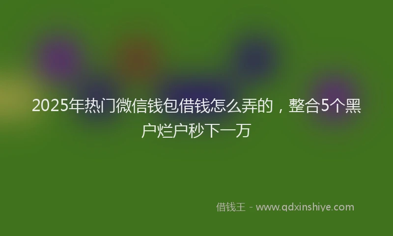 2025年热门微信钱包借钱怎么弄的，整合5个黑户烂户秒下一万