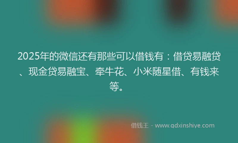 2025年的微信还有那些可以借钱有：借贷易融贷、现金贷易融宝、牵牛花、小米随星借、有钱来等。