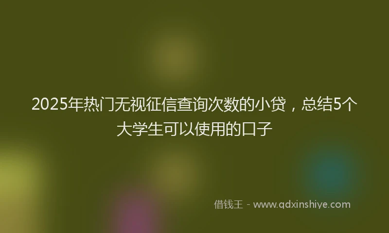 2025年热门无视征信查询次数的小贷，总结5个大学生可以使用的口子
