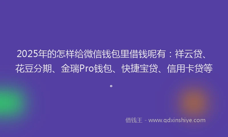 2025年的怎样给微信钱包里借钱呢有：祥云贷、花豆分期、金瑞Pro钱包、快捷宝贷、信用卡贷等。