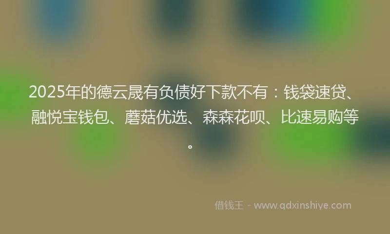 2025年的德云晟有负债好下款不有：钱袋速贷、融悦宝钱包、蘑菇优选、森森花呗、比速易购等。