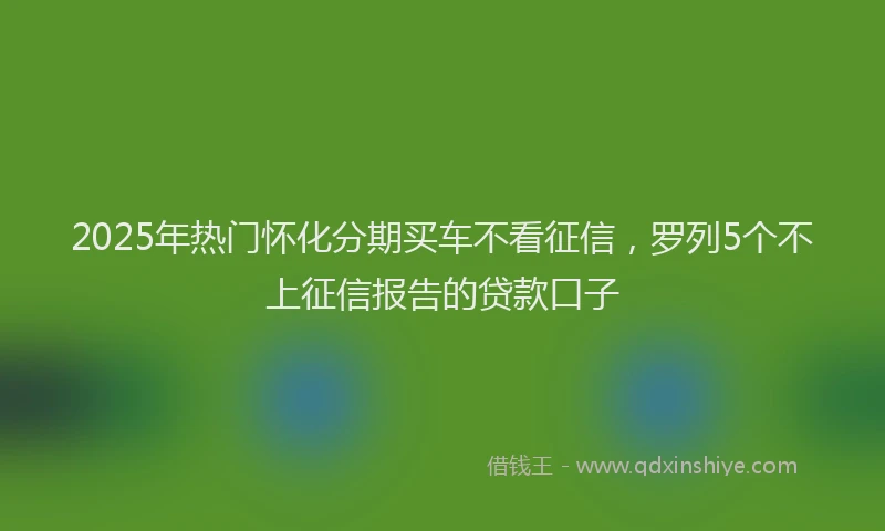 2025年热门怀化分期买车不看征信，罗列5个不上征信报告的贷款口子