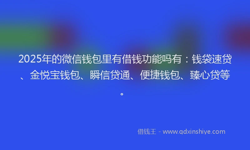 2025年的微信钱包里有借钱功能吗有：钱袋速贷、金悦宝钱包、瞬信贷通、便捷钱包、臻心贷等。