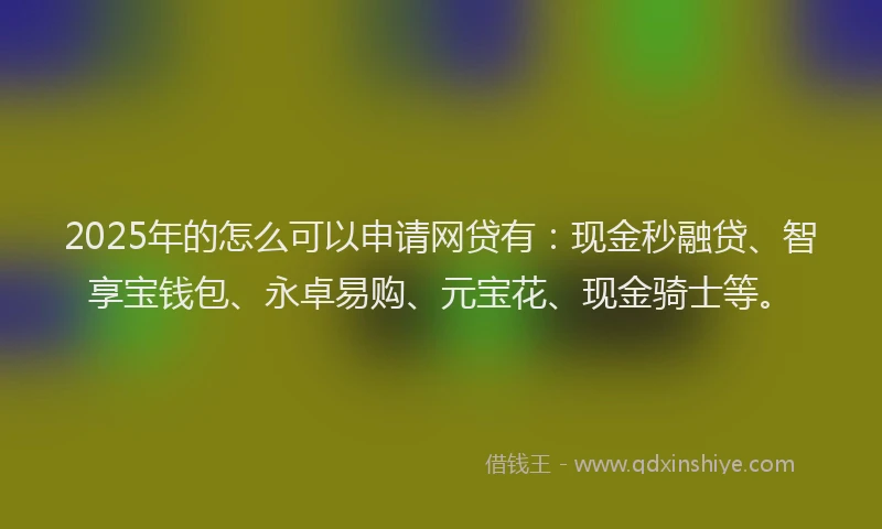 2025年的怎么可以申请网贷有：现金秒融贷、智享宝钱包、永卓易购、元宝花、现金骑士等。