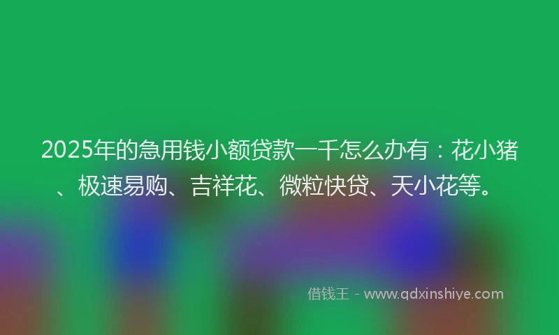 2025年的急用钱小额贷款一千怎么办有：花小猪、极速易购、吉祥花、微粒快贷、天小花等。