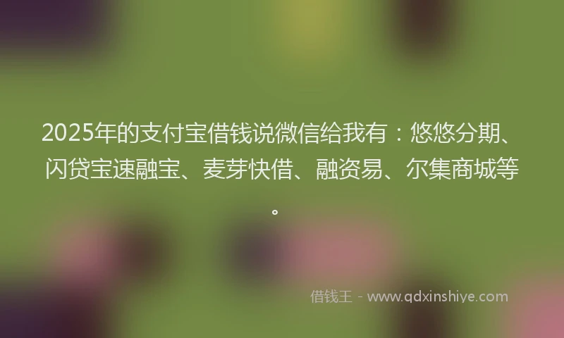 2025年的支付宝借钱说微信给我有：悠悠分期、闪贷宝速融宝、麦芽快借、融资易、尔集商城等。
