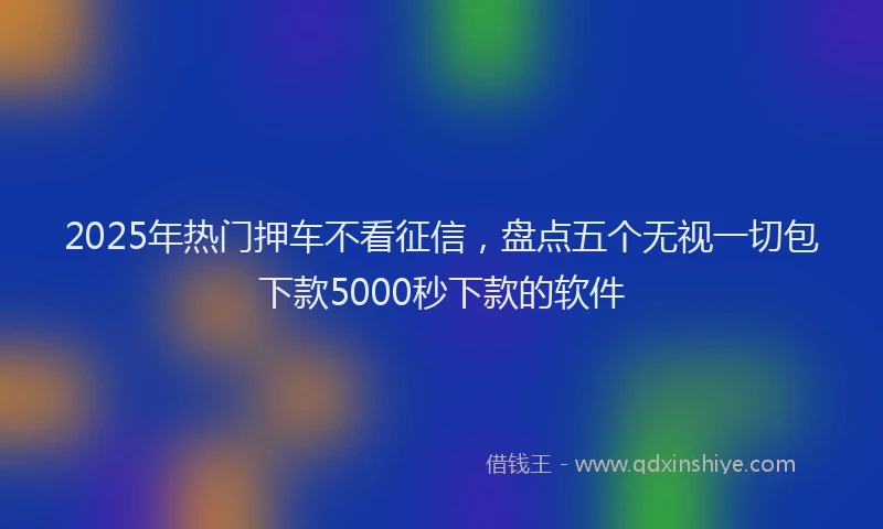 2025年热门押车不看征信，盘点五个无视一切包下款5000秒下款的软件