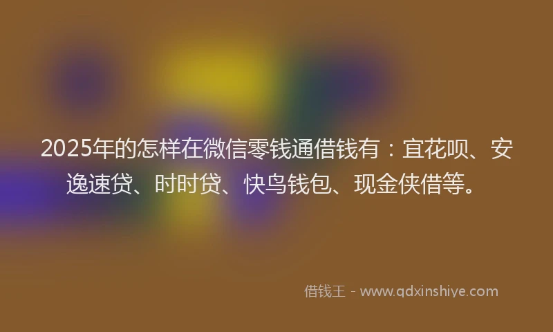 2025年的怎样在微信零钱通借钱有：宜花呗、安逸速贷、时时贷、快鸟钱包、现金侠借等。