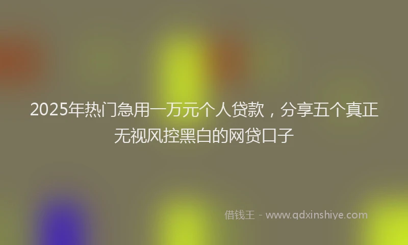 2025年热门急用一万元个人贷款，分享五个真正无视风控黑白的网贷口子