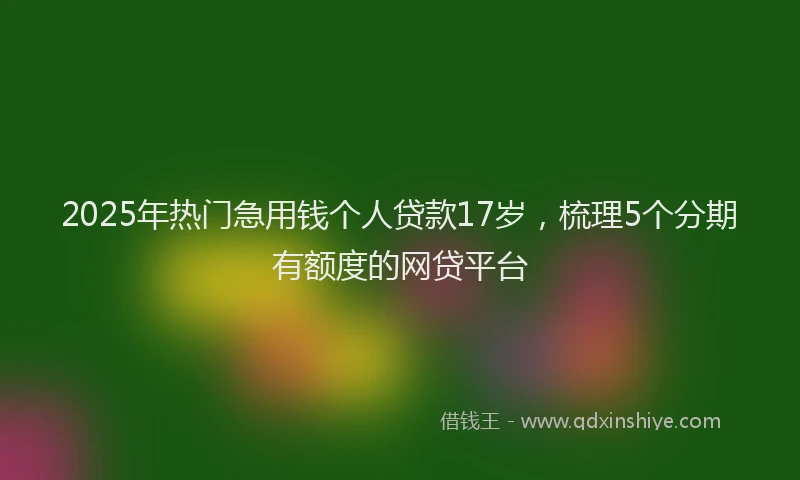 2025年热门急用钱个人贷款17岁，梳理5个分期有额度的网贷平台