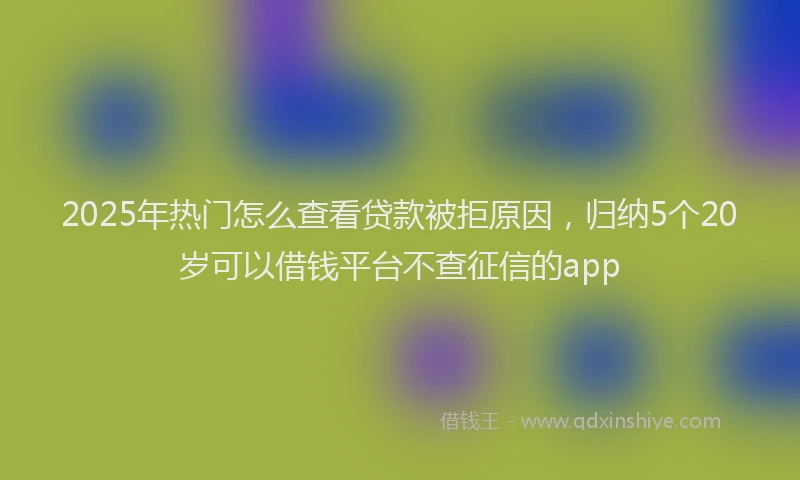 2025年热门怎么查看贷款被拒原因，归纳5个20岁可以借钱平台不查征信的app