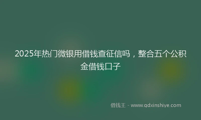 2025年热门微银用借钱查征信吗，整合五个公积金借钱口子
