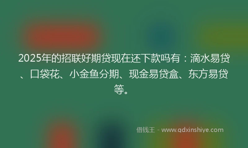 2025年的招联好期贷现在还下款吗有：滴水易贷、口袋花、小金鱼分期、现金易贷盒、东方易贷等。