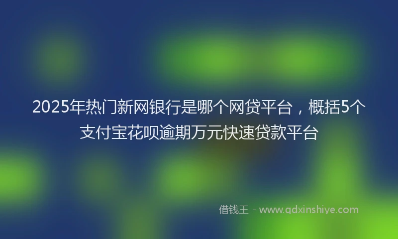 2025年热门新网银行是哪个网贷平台，概括5个支付宝花呗逾期万元快速贷款平台