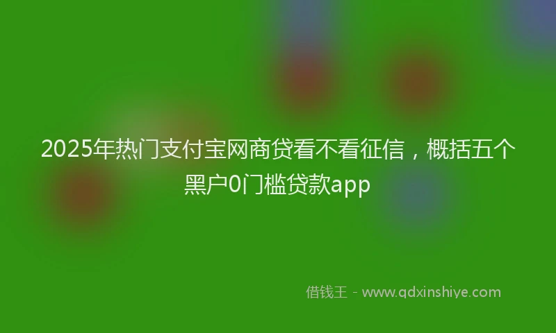 2025年热门支付宝网商贷看不看征信，概括五个黑户0门槛贷款app