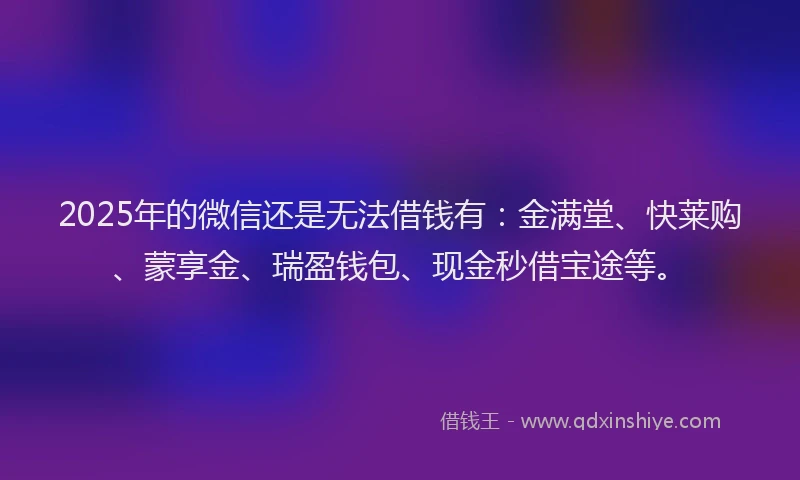 2025年的微信还是无法借钱有：金满堂、快莱购、蒙享金、瑞盈钱包、现金秒借宝途等。