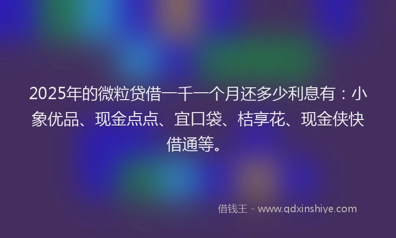 2025年的微粒贷借一千一个月还多少利息有：小象优品、现金点点、宜口袋、桔享花、现金侠快借通等。