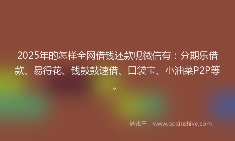 2025年的怎样全网借钱还款呢微信有：分期乐借款、易得花、钱鼓鼓速借、口袋宝、小油菜P2P等。
