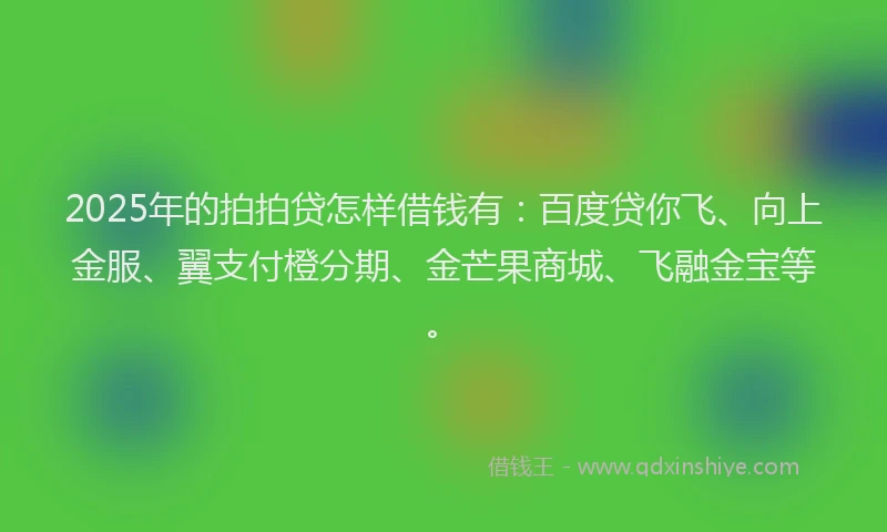 2025年的拍拍贷怎样借钱有：百度贷你飞、向上金服、翼支付橙分期、金芒果商城、飞融金宝等。