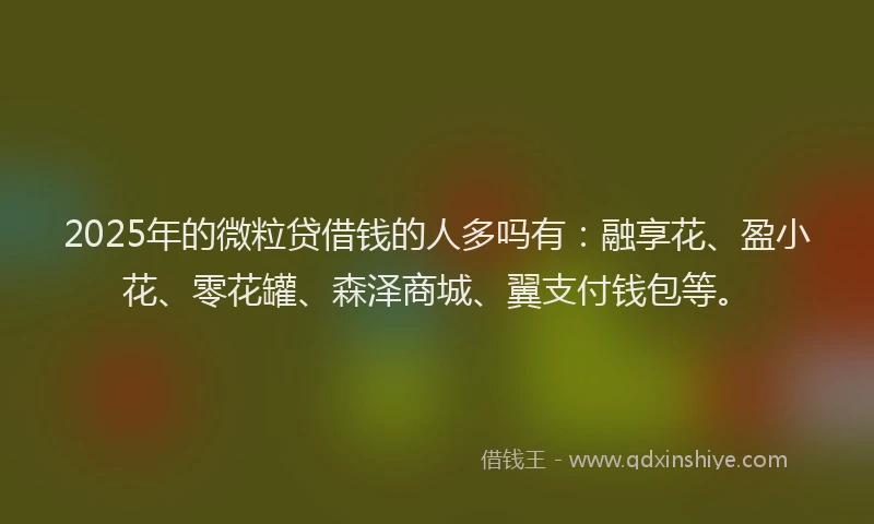 2025年的微粒贷借钱的人多吗有：融享花、盈小花、零花罐、森泽商城、翼支付钱包等。