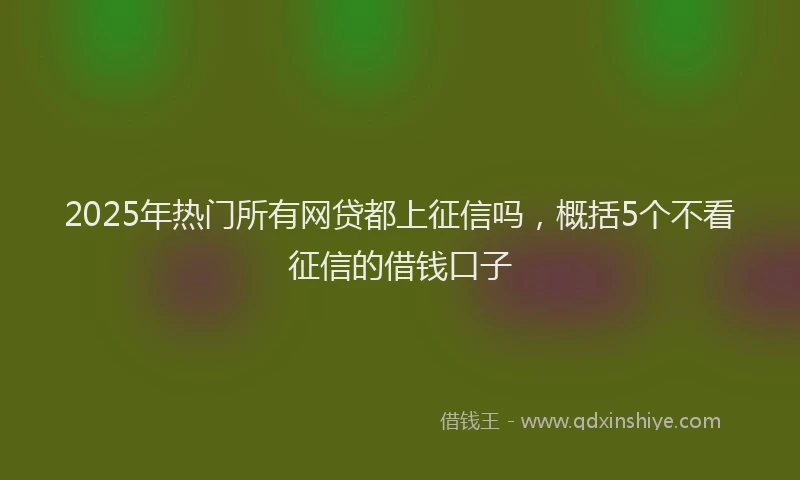 2025年热门所有网贷都上征信吗，概括5个不看征信的借钱口子