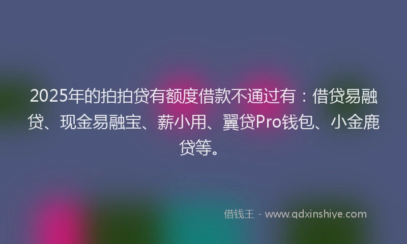 2025年的拍拍贷有额度借款不通过有：借贷易融贷、现金易融宝、薪小用、翼贷Pro钱包、小金鹿贷等。