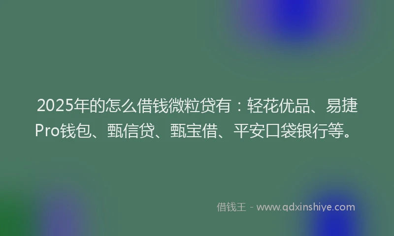 2025年的怎么借钱微粒贷有：轻花优品、易捷Pro钱包、甄信贷、甄宝借、平安口袋银行等。