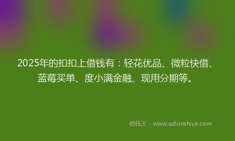 2025年的扣扣上借钱有：轻花优品、微粒快借、蓝莓买单、度小满金融、现用分期等。