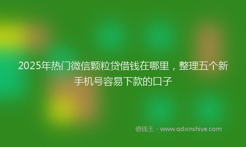 2025年热门微信颗粒贷借钱在哪里，整理五个新手机号容易下款的口子