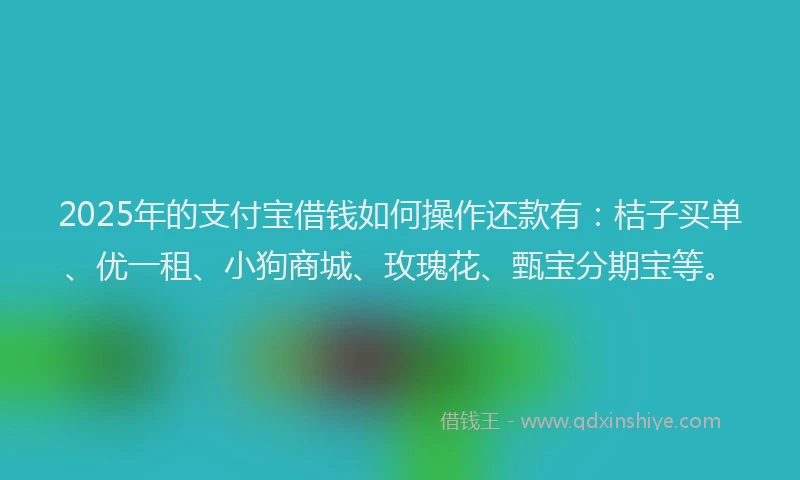 2025年的支付宝借钱如何操作还款有：桔子买单、优一租、小狗商城、玫瑰花、甄宝分期宝等。