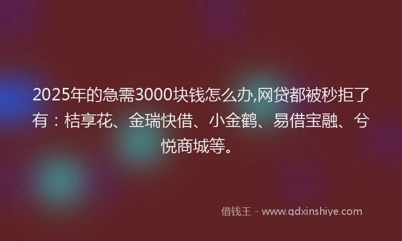 2025年的急需3000块钱怎么办,网贷都被秒拒了有：桔享花、金瑞快借、小金鹤、易借宝融、兮悦商城等。