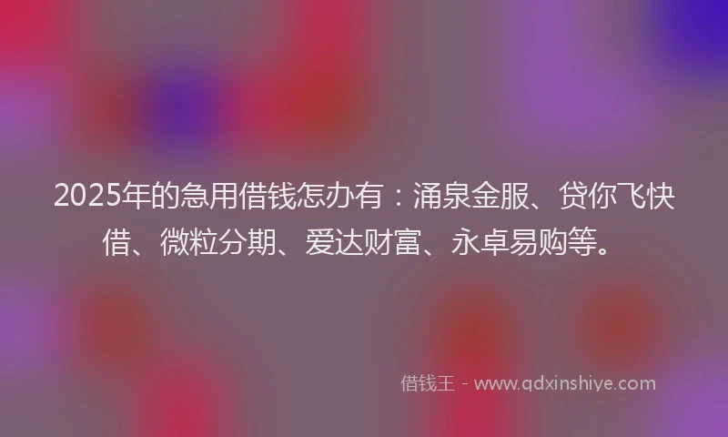 2025年的急用借钱怎办有：涌泉金服、贷你飞快借、微粒分期、爱达财富、永卓易购等。
