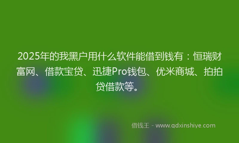 2025年的我黑户用什么软件能借到钱有：恒瑞财富网、借款宝贷、迅捷Pro钱包、优米商城、拍拍贷借款等。