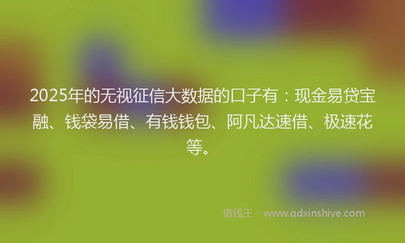2025年的无视征信大数据的口子有：现金易贷宝融、钱袋易借、有钱钱包、阿凡达速借、极速花等。