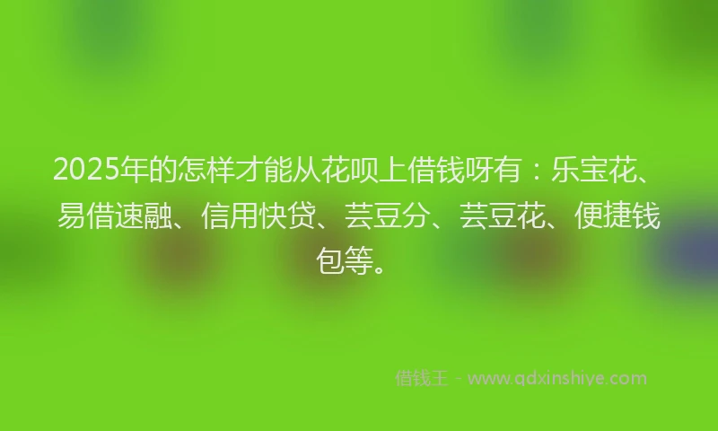 2025年的怎样才能从花呗上借钱呀有：乐宝花、易借速融、信用快贷、芸豆分、芸豆花、便捷钱包等。