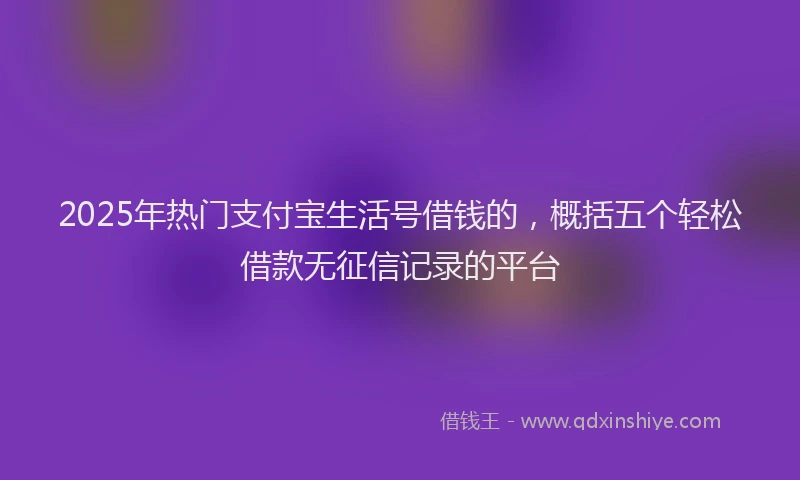 2025年热门支付宝生活号借钱的，概括五个轻松借款无征信记录的平台